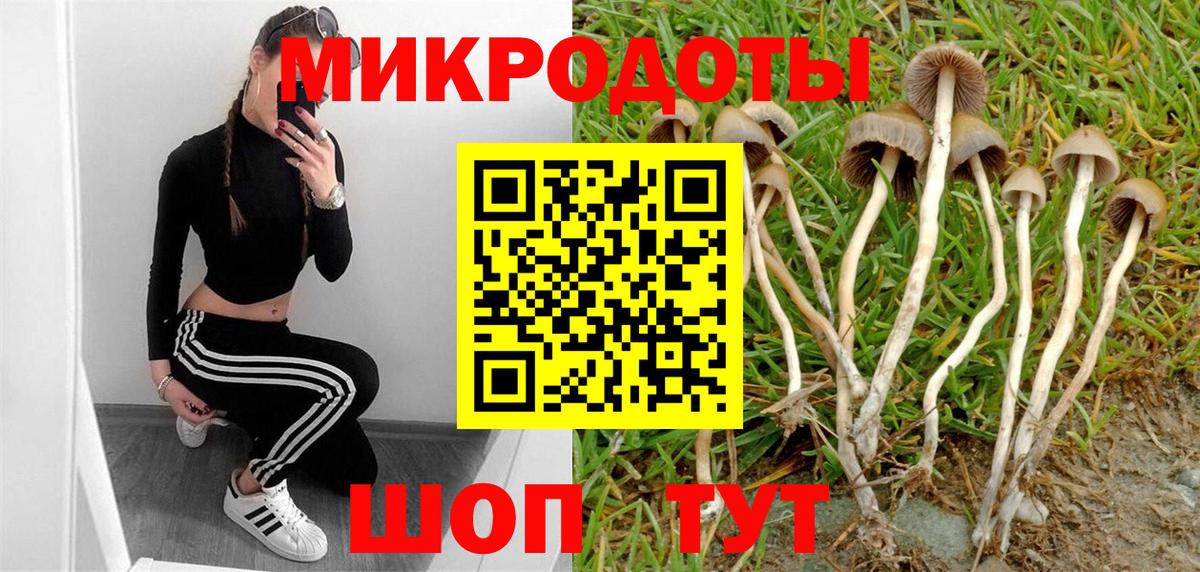 Псилоцибиновые грибы ЛСД Клинцы